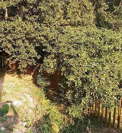 Casa Do Rio 度假居 帕雷迪什迪科拉