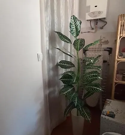 Casa Do Rio 度假居