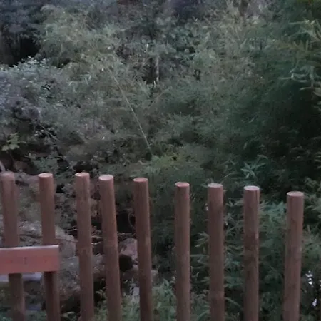 Casa Do Rio 帕雷迪什迪科拉