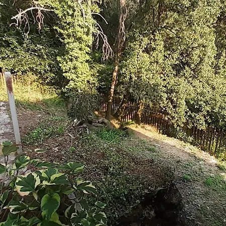Casa Do Rio 帕雷迪什迪科拉