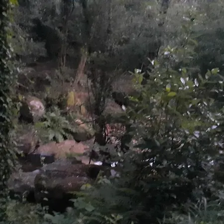 度假居 Casa Do Rio 帕雷迪什迪科拉